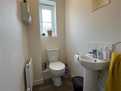 Picture 7